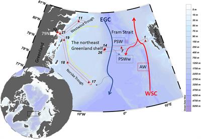 Iron Speciation in Fram Strait and Over the Northeast Greenland Shelf: An Inter-Comparison Study of Voltammetric Methods